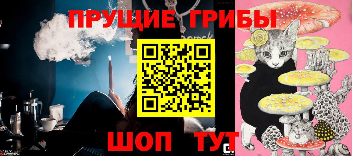 дарнет шоп  Псилоцибиновые грибы ЛСД  Вход с VPN  Псилоцибиновые грибы мухоморы  Старая Русса 